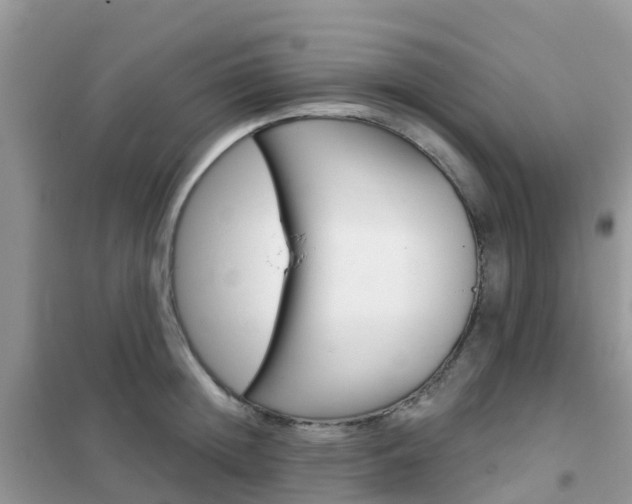 X0000102360852200808010957
