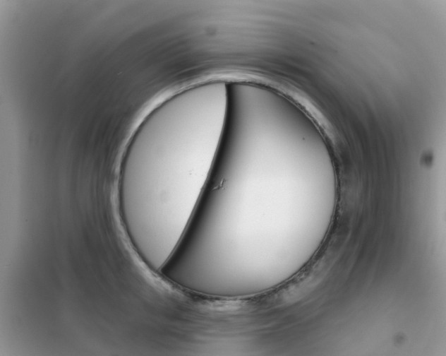X0000102360853200808010957