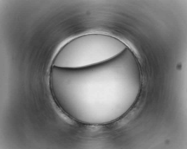 X0000102360854200808010957