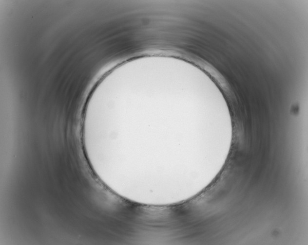 X0000102360856200808010957