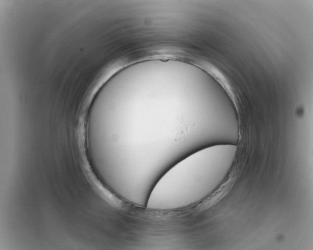 X0000102360859200808010957