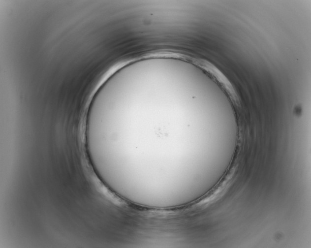 X0000102360860200808010957