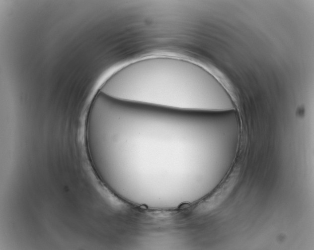 X0000102360862200808010957