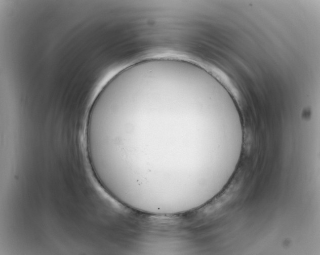 X0000102360863200808010957