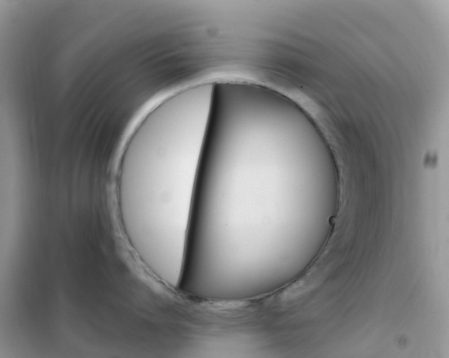 X0000102360864200808010957