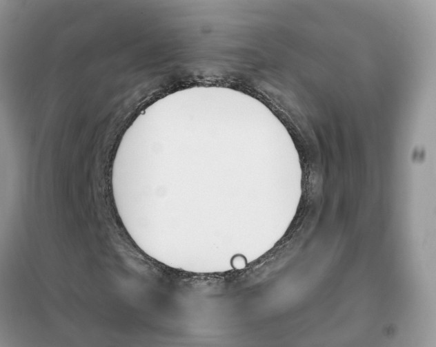 X0000102360865200808010957