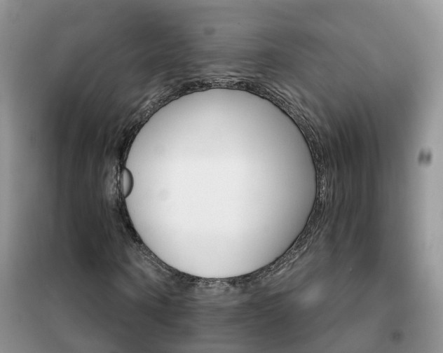 X0000102360866200808010957