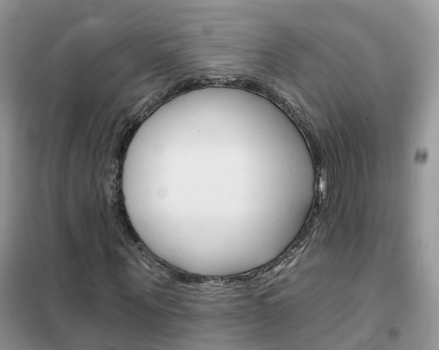 X0000102360867200808010957