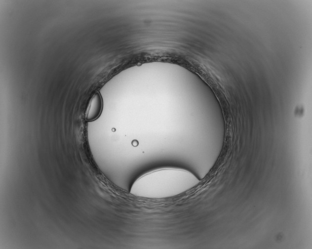 X0000102360868200808010957