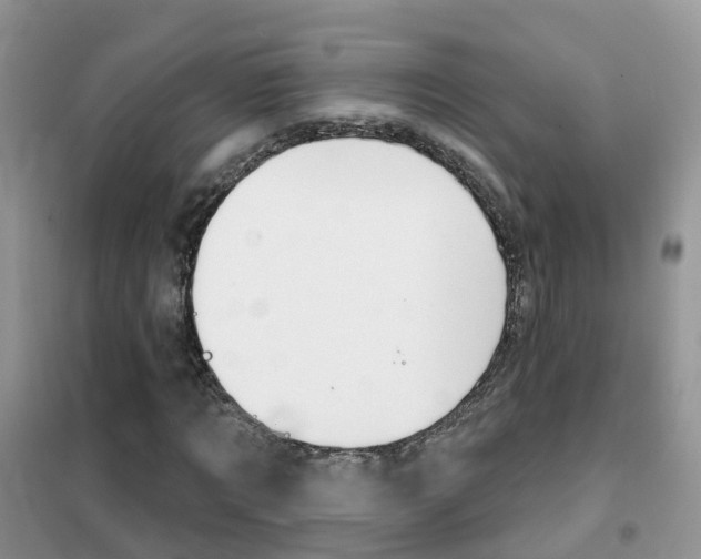 X0000102360869200808010957