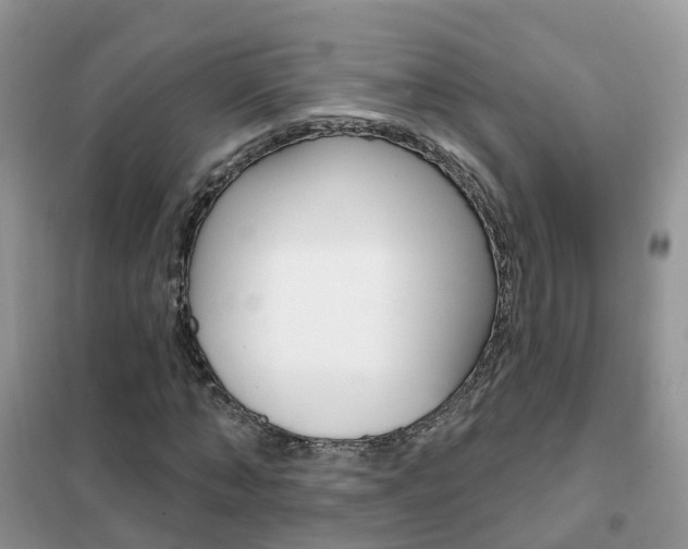 X0000102360870200808010957