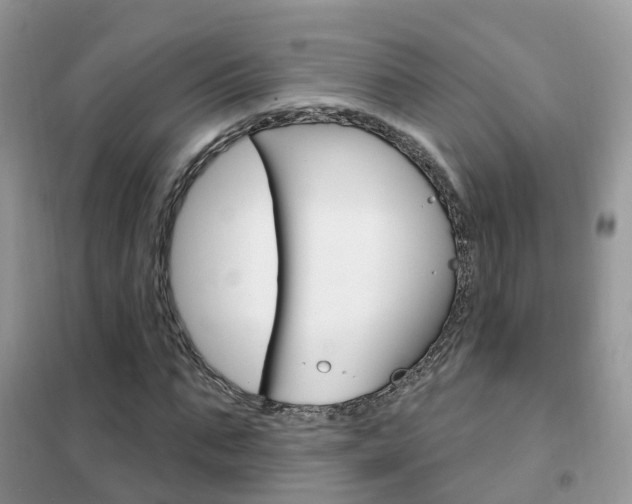 X0000102360871200808010957
