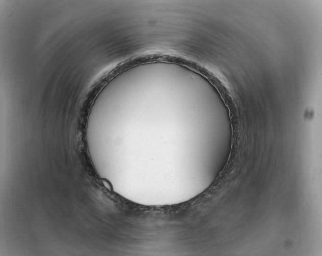 X0000102360872200808010957