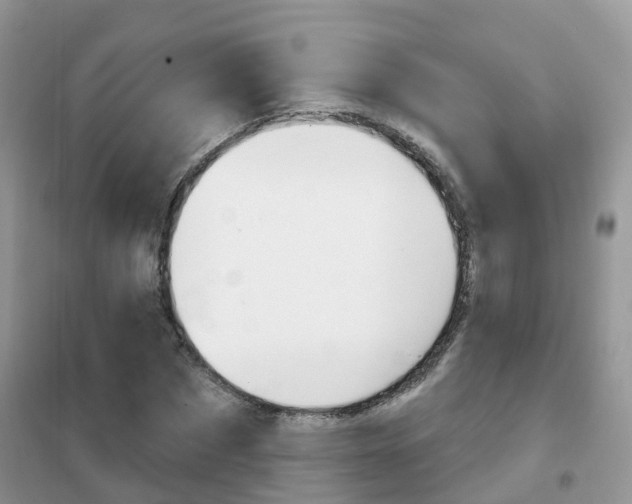 X0000102360873200808010957