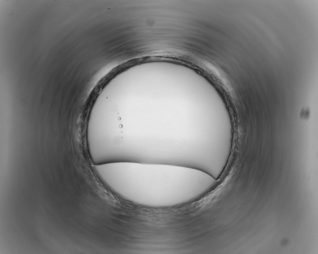 X0000102360875200808010957