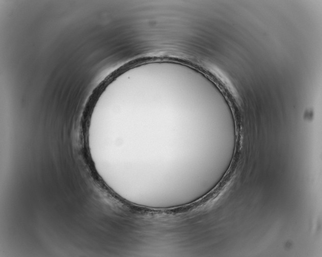 X0000102360876200808010957