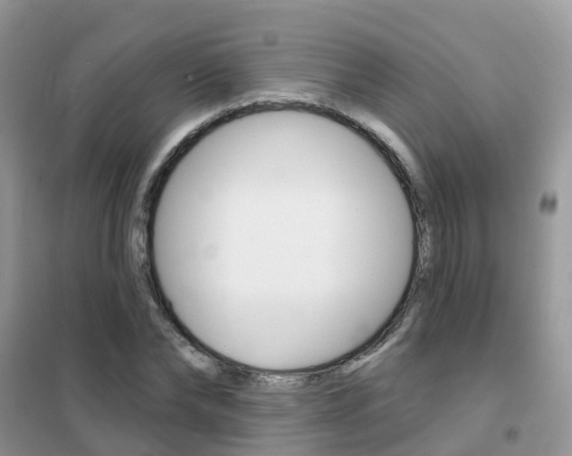 X0000102360878200808010957