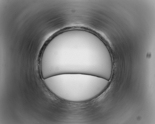 X0000102360879200808010957
