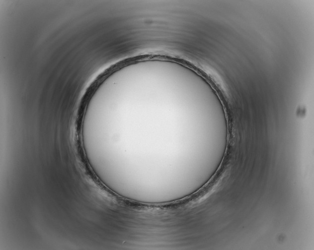 X0000102360880200808010957