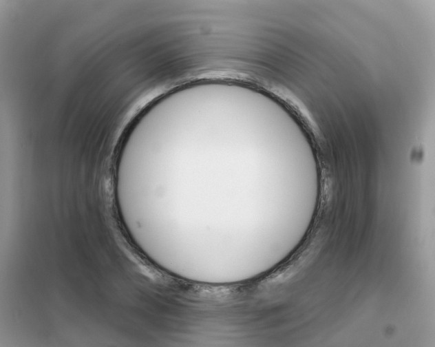 X0000102360882200808010957