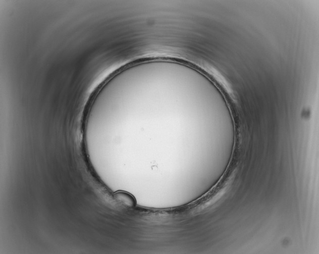 X0000102360885200808010957