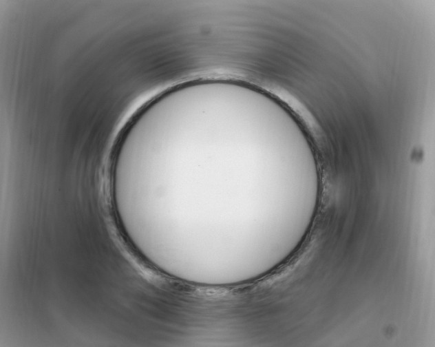 X0000102360886200808010957