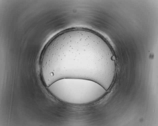 X0000102360887200808010957
