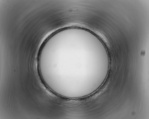 X0000102360888200808010957