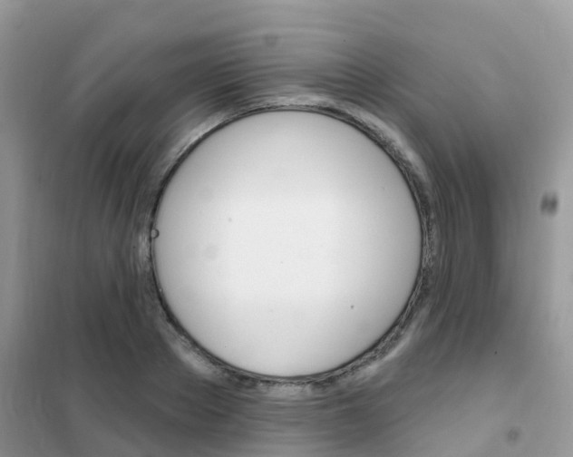 X0000102360889200808010956