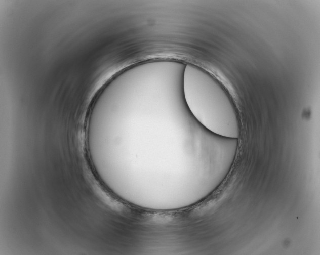 X0000102360890200808010956