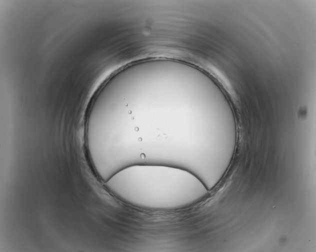 X0000102360891200808010956