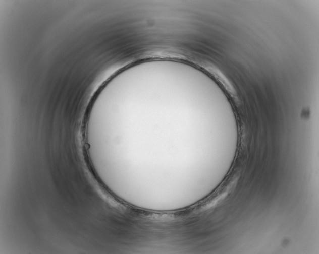 X0000102360893200808010956