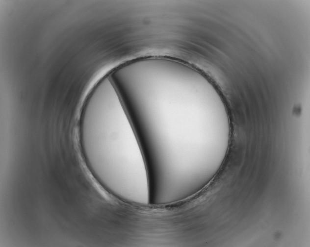 X0000102360894200808010956