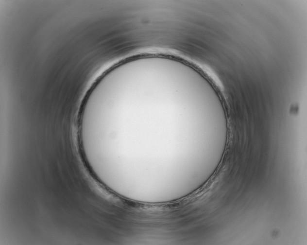 X0000102360895200808010956