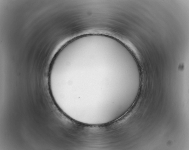 X0000102360896200808010956