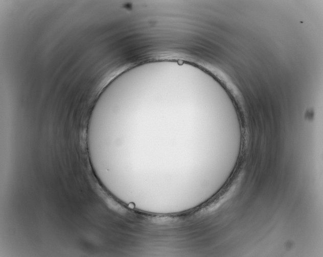 X0000102360897200808010956