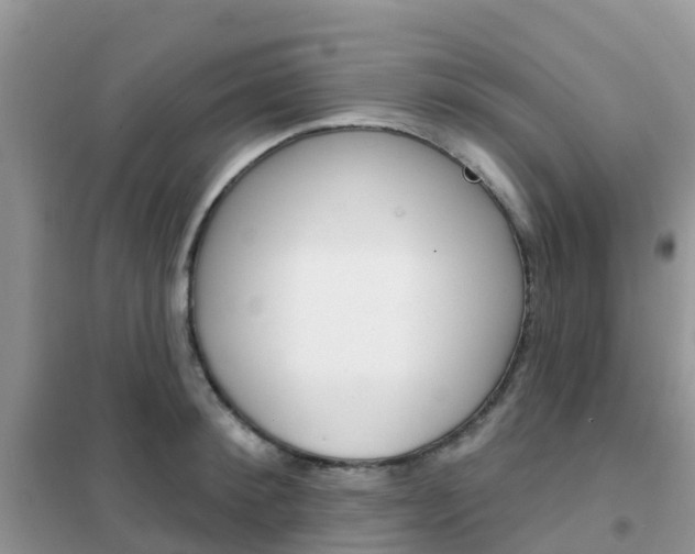 X0000102360900200808010956