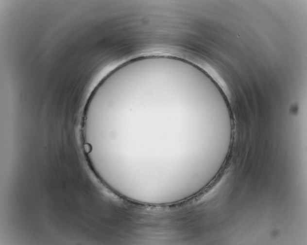 X0000102360901200808010956