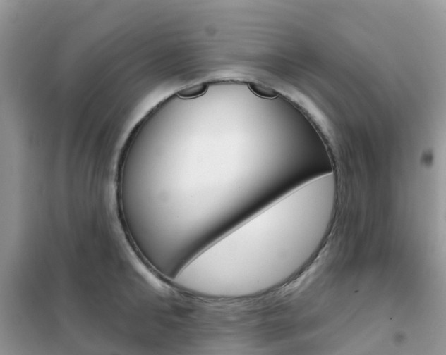 X0000102360902200808010956