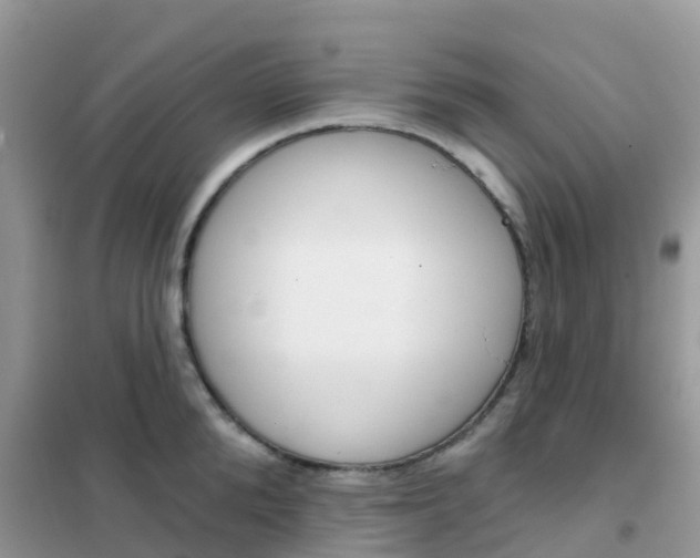 X0000102360904200808010956