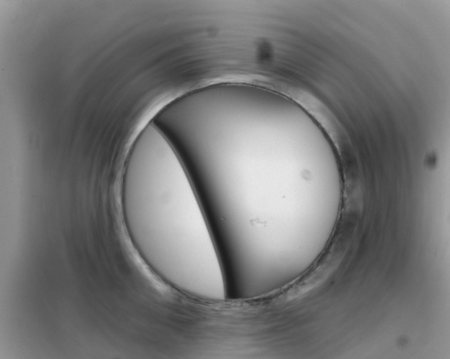 X0000102360906200808010956