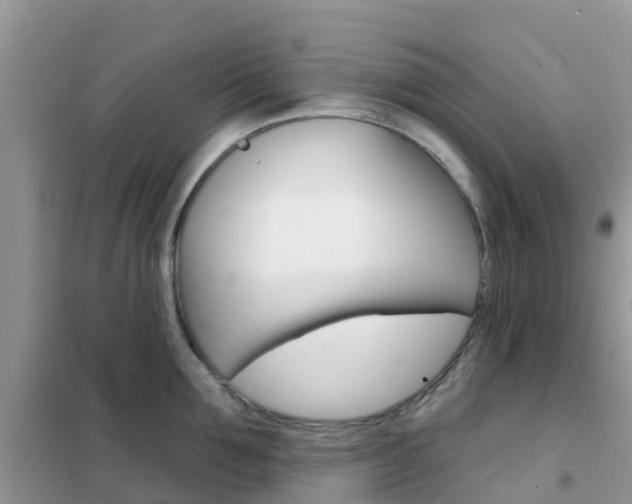 X0000102360907200808010956