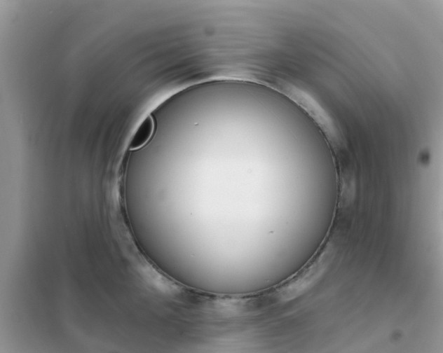 X0000102360908200808010956