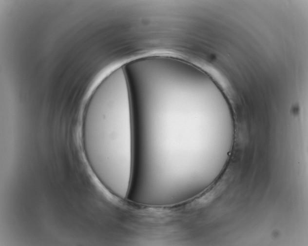 X0000102360910200808010956