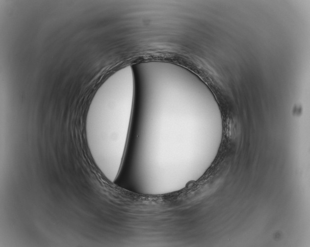X0000102360915200808010956