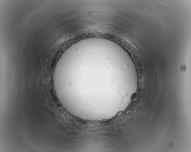 X0000102360917200808010956