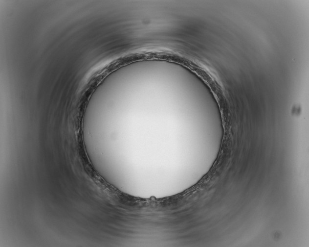 X0000102360920200808010956