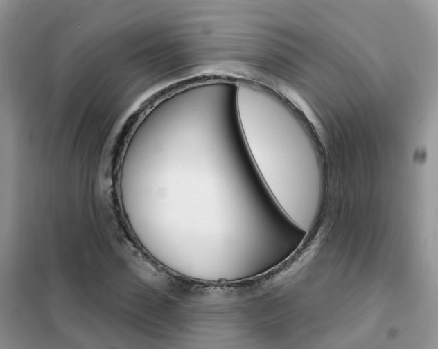 X0000102360923200808010956