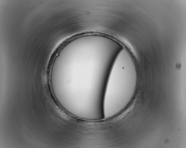 X0000102360924200808010956