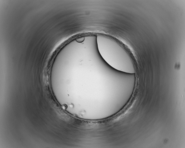 X0000102360925200808010956